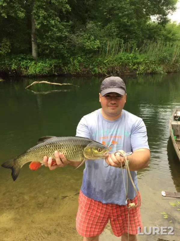 Chub — Voronezh, Jun 15, 2019
