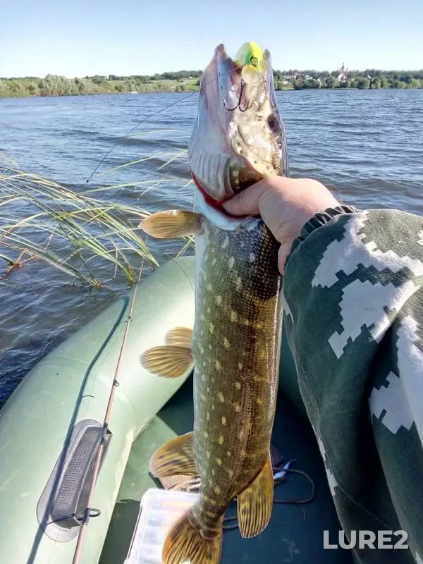 Pike — Lipetskaya oblast, Jun 04, 2019