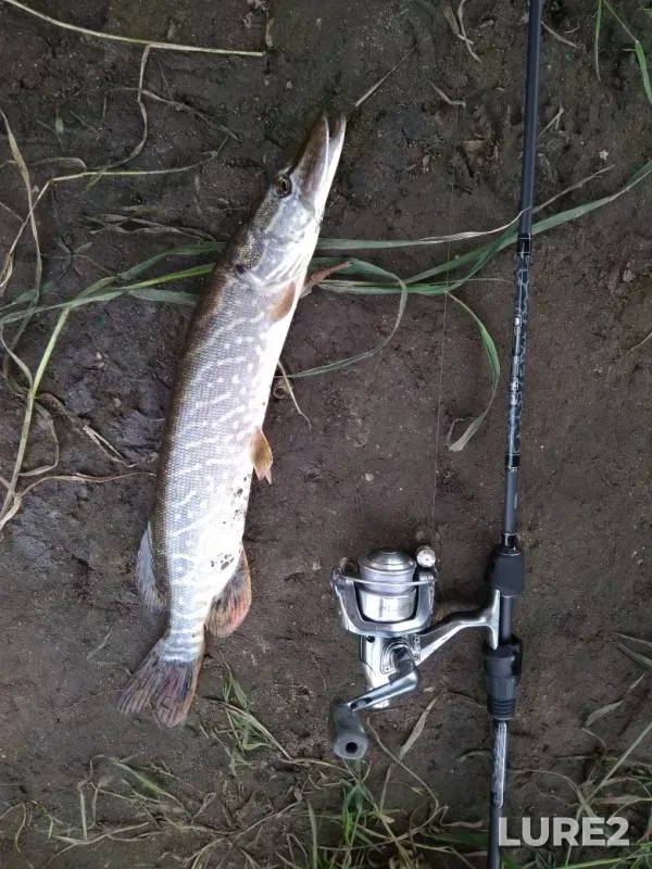 Pike — Don, Jun 02, 2019