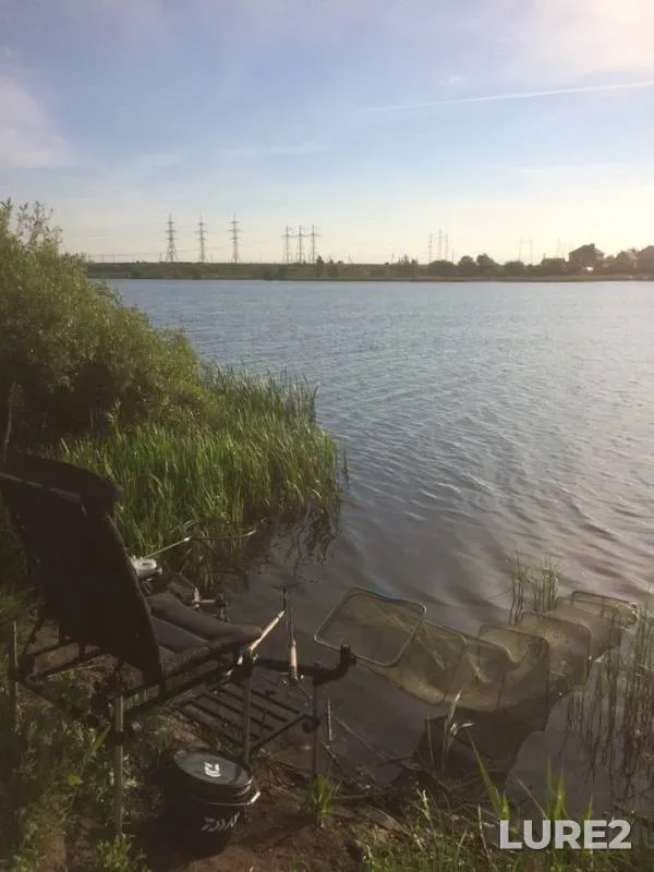 Bream, Roach — Matyra, May 25, 2019