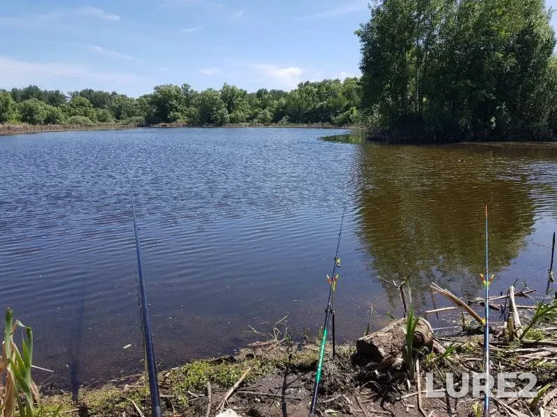Crucian carp — Lipetskaya oblast, May 20, 2019