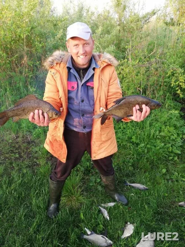 Bream, Crucian carp — Usyazha, May 18, 2019