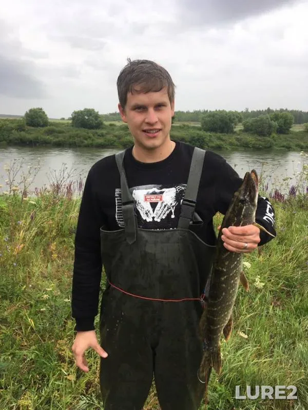 Pike — Don, Jul 10, 2019
