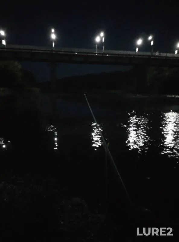 Bream — Don, Aug 19, 2019