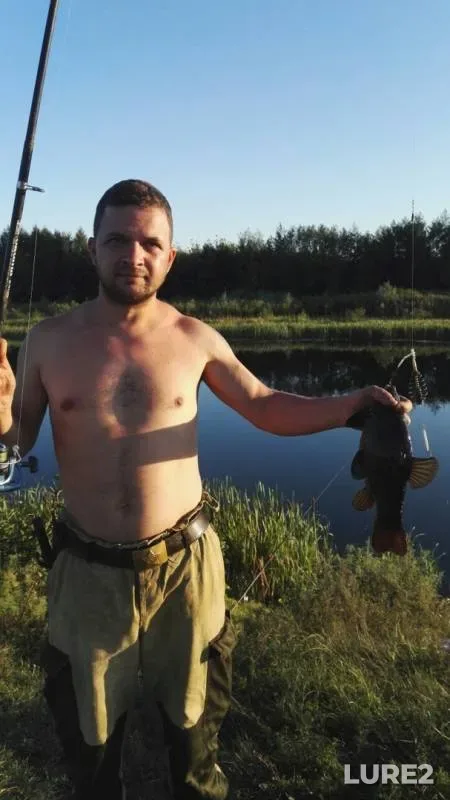 Tench — Voronezh, Aug 27, 2019