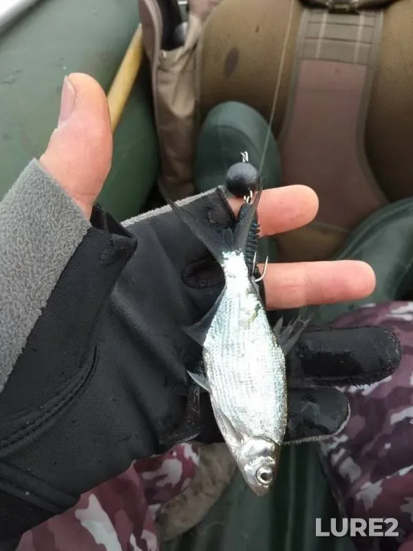 Perch, Pike — Matyrskoye, Sep 28, 2019