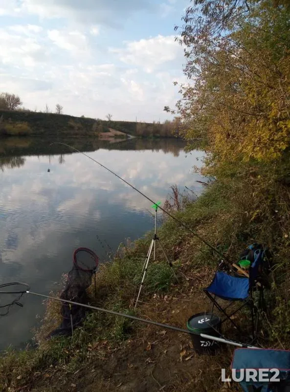 Bleak, Bream — Bystraya Sosna, Oct 04, 2019