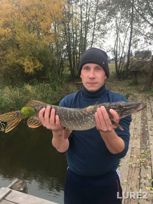 Pike — Dvurechka, Oct 05, 2019
