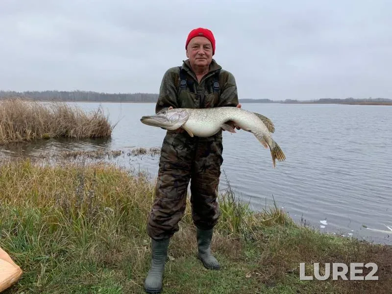 Pike — Meshcherka, Nov 10, 2019