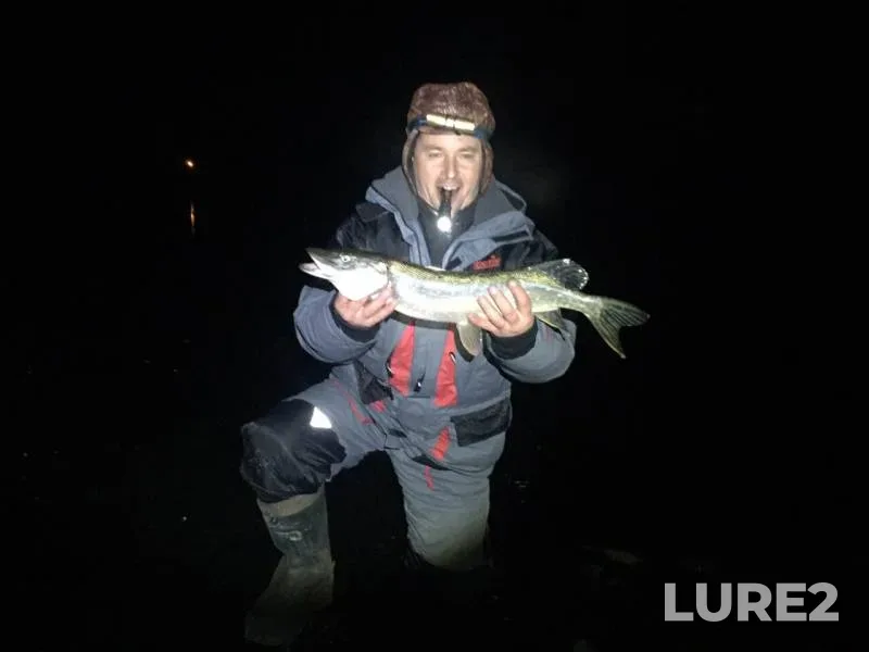 Pike — Telelyuy, Nov 26, 2019