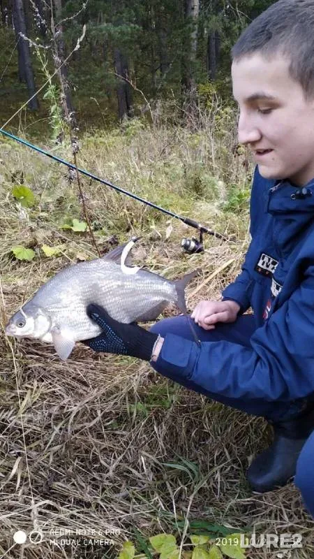 Bream, Zander — Iset, Oct 02, 2019