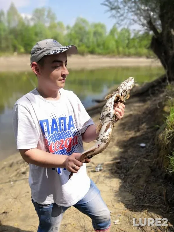 Pike — Kazanka, May 14, 2019