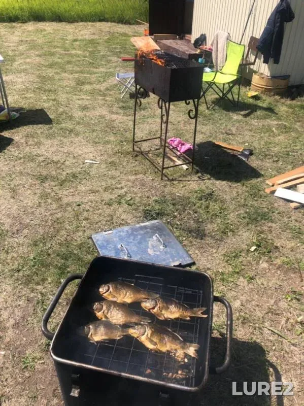 Carp — Urayka, Jul 07, 2019
