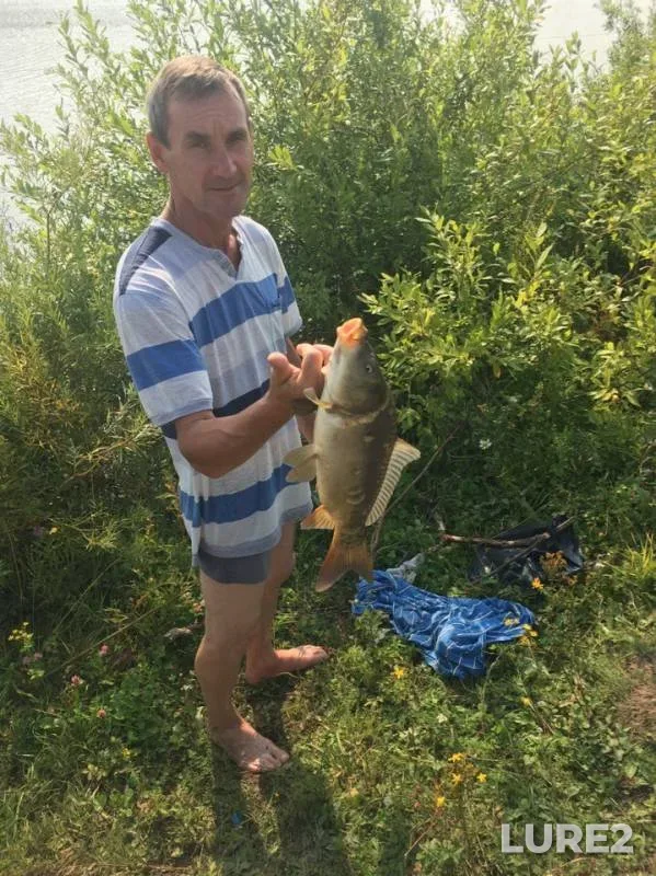 Carp — Betka, Jul 27, 2019