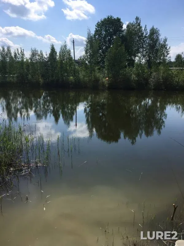 Crucian carp, Tench — Rova, May 26, 2019