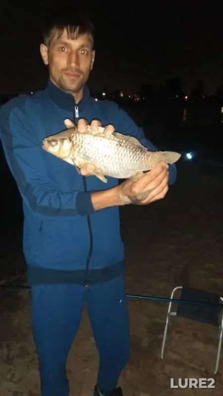 Bream, Crucian carp — Respublika Tatarstan, Sep 01, 2019