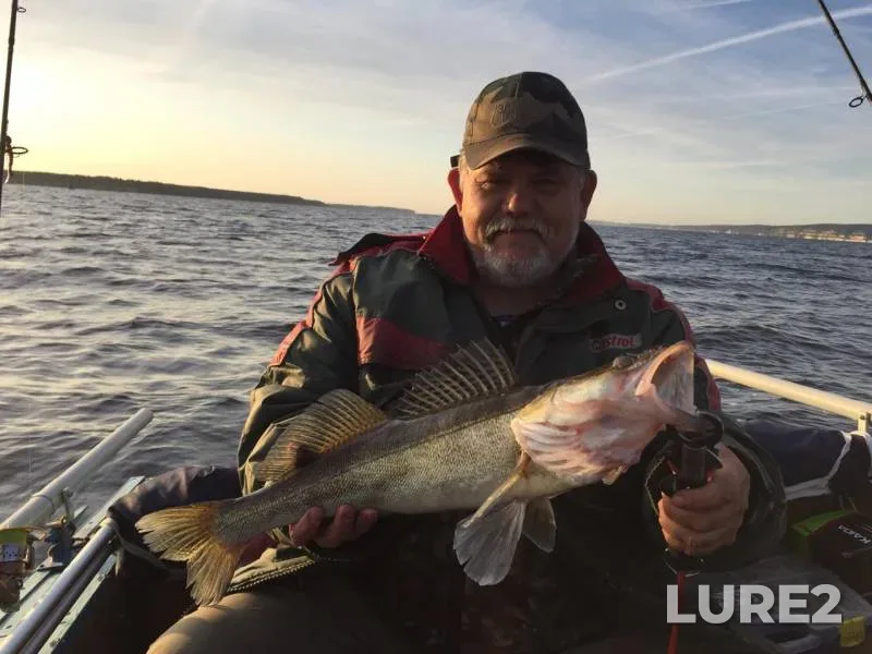 Pike, Zander — Respublika Tatarstan, Sep 01, 2019