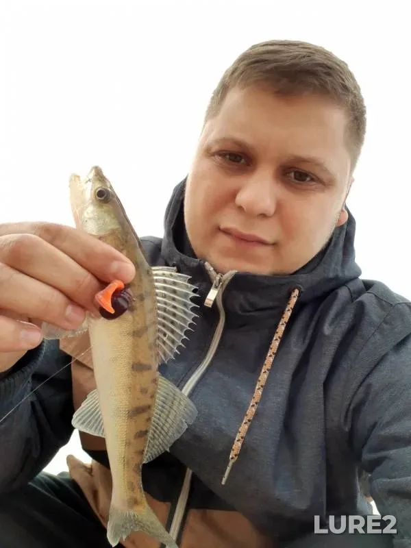 Zander — Kazanka, Sep 03, 2019
