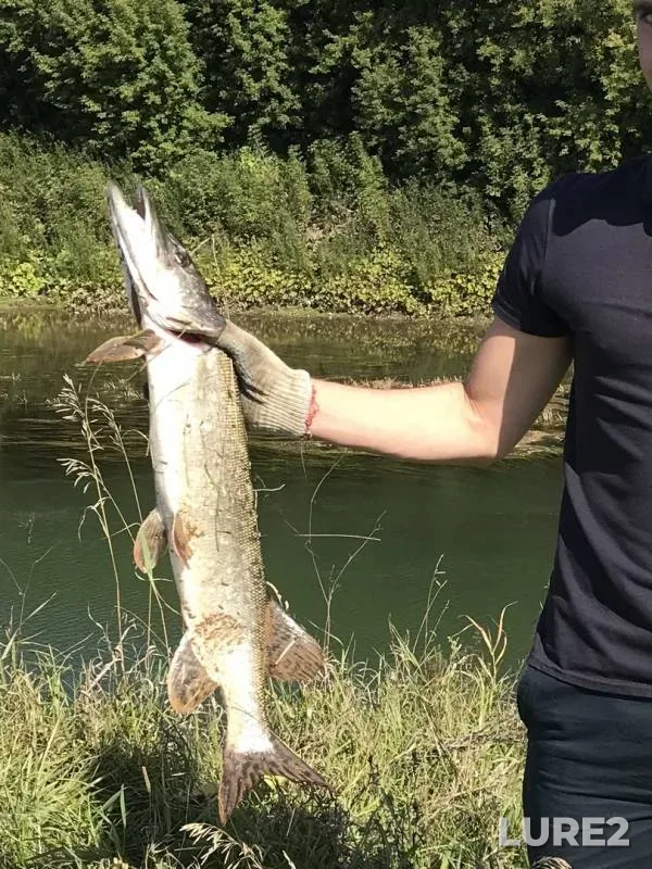 Pike — Respublika Tatarstan, Sep 07, 2019