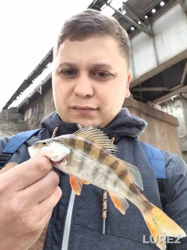 Perch — Kazanka, Oct 06, 2019