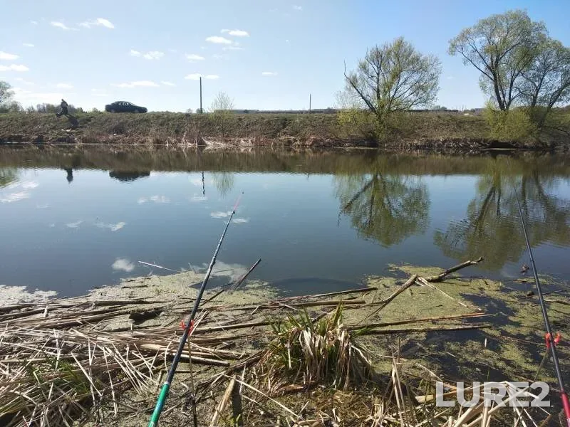 Crucian carp — Oka, Apr 29, 2019