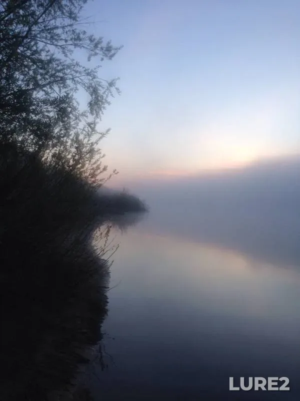 Bream, Roach — Oka, May 05, 2019