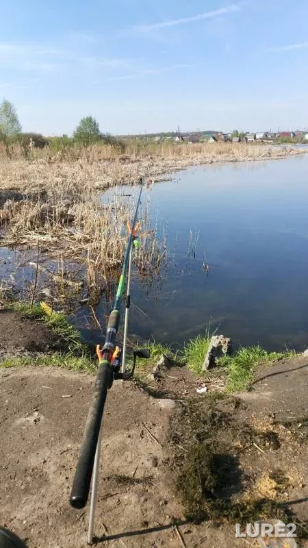 Crucian carp, Roach — Moskovskaya oblast, gorodskoy okrug Kolomna, May 05, 2019