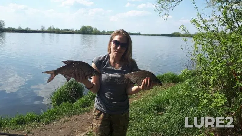 Bream — Moskva, May 07, 2019