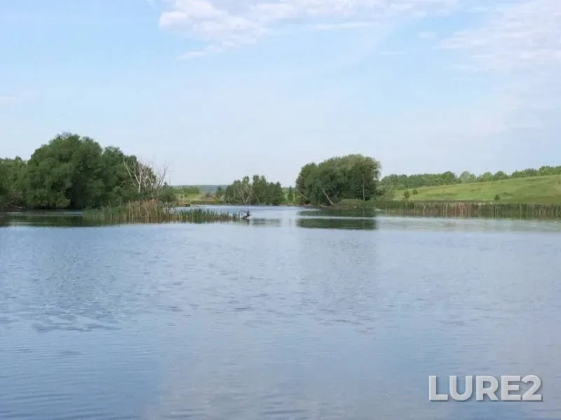 Bream — Osyonka, May 23, 2019