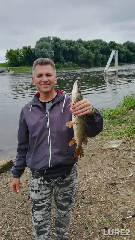 Perch, Pike — Moskva, Jun 15, 2019