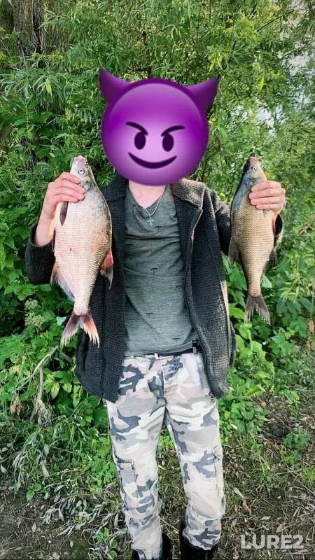 Bream — Moskva, Jul 09, 2019
