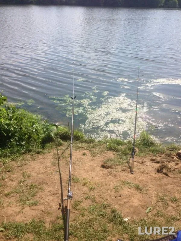 Bream — Moskva, Jul 09, 2019
