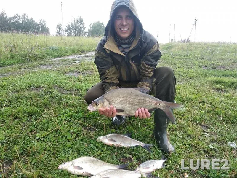 Bream — Moskva, Jul 11, 2019