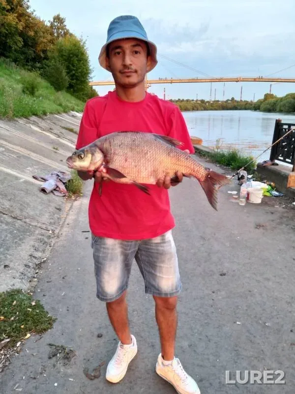 Bream — Moskva, Aug 15, 2019
