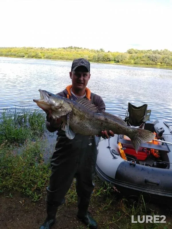Zander — Oka, Aug 27, 2019