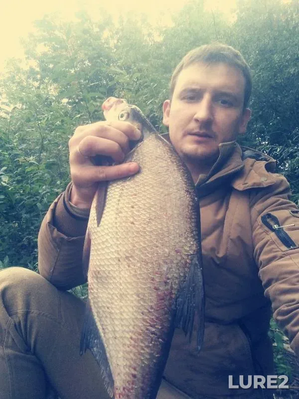 Bream — Moskva, Aug 19, 2019