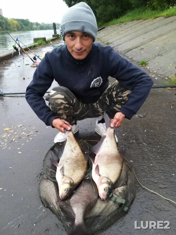 Bream — Moskva, Aug 17, 2019