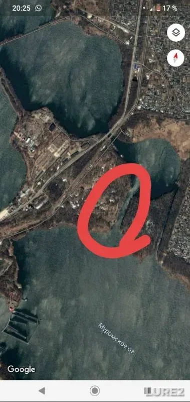 Bream — Beloye, Aug 08, 2019