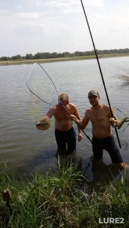 Carp — Bolshaya Takhta, Aug 03, 2019