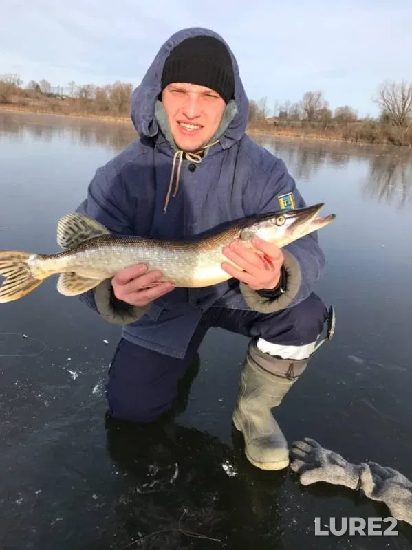 Pike — Moskovskaya oblast, gorodskoy okrug Zaraysk, Nov 24, 2019