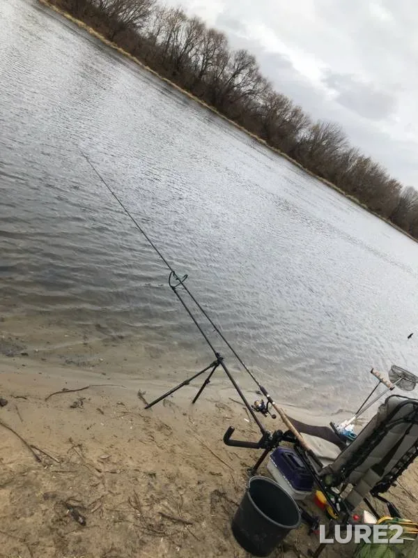 Bream, White bream — Moskva, Nov 02, 2019