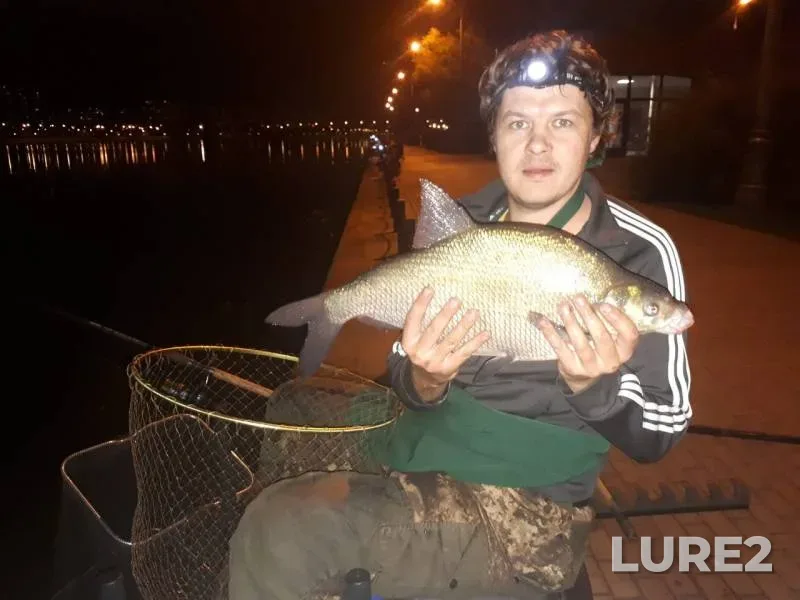 Bream — Moskva, Oct 03, 2019