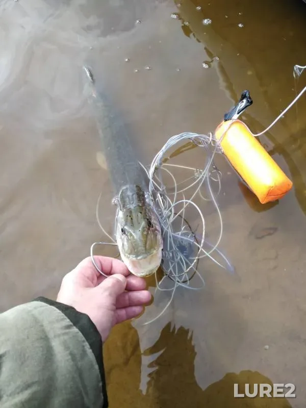Pike — Oka, Oct 02, 2019
