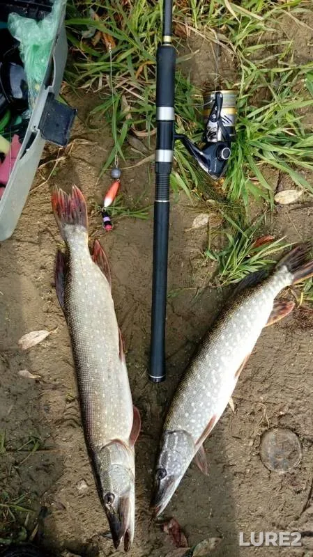 Pike — Nerskaya, Sep 24, 2019