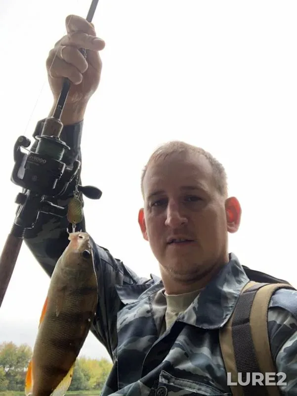 Perch, Pike — Moskva, Sep 10, 2019