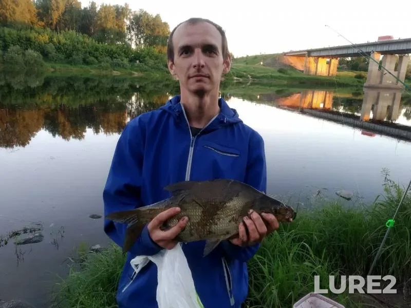 Bream — Zapadnaya Dvina, Jun 03, 2019