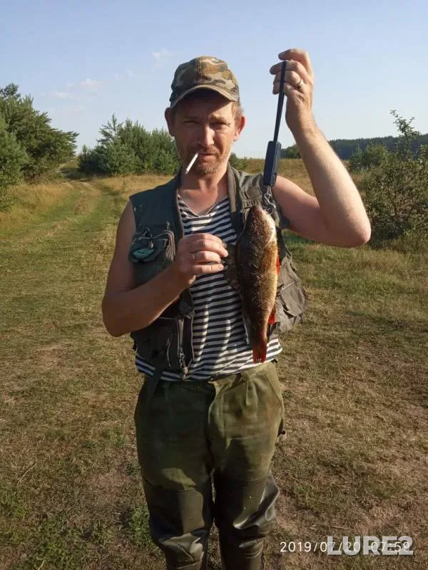 Perch — Zhigalka, Jul 21, 2019