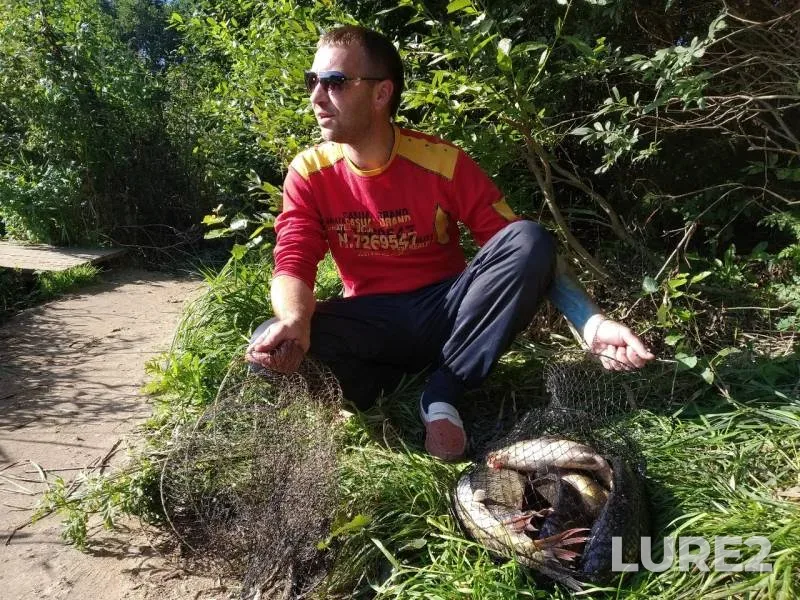 Carp — Guyka, Aug 28, 2019