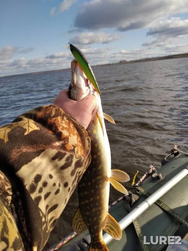 Pike — Osveyskoye, Nov 05, 2019