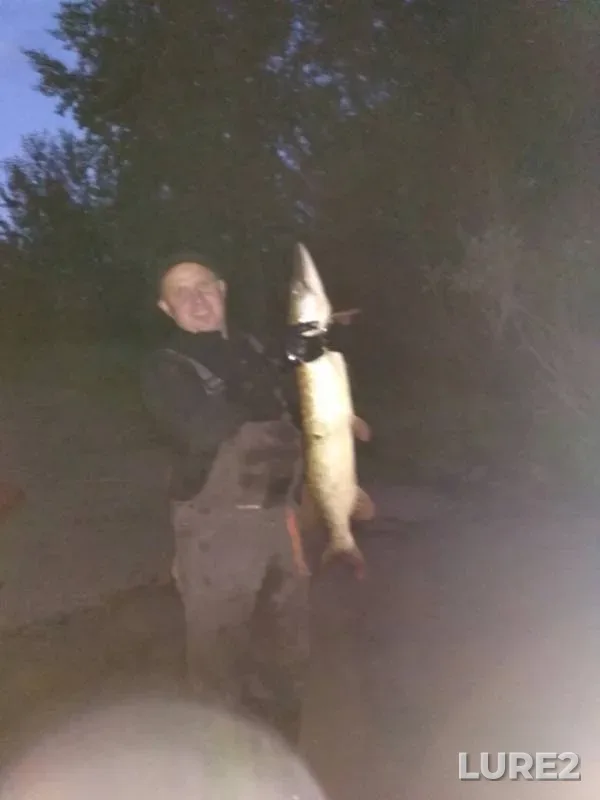 Crucian carp, Pike — Kama, Feb 04, 2019